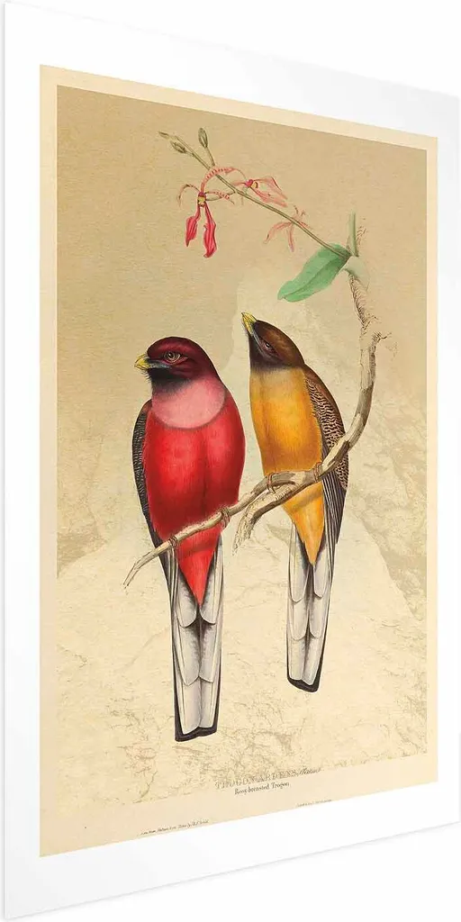 Poster Uccelli su un Ramoscello 60x90 cm | Stampa Natura per Arredo