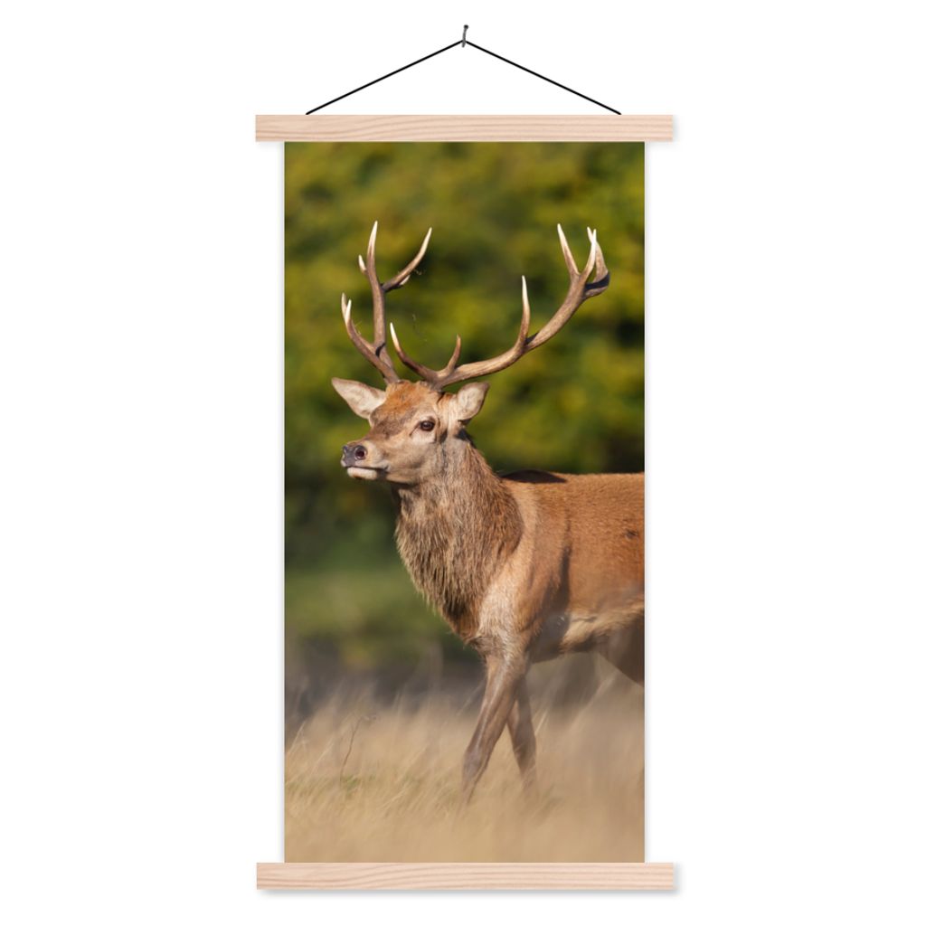 MuchoWow Textilposter Tiere - Hirsche - Geweihe - Waldtiere - Natur 40x80 cm mit holzfarbenen Rahmen - Wohnzimmer