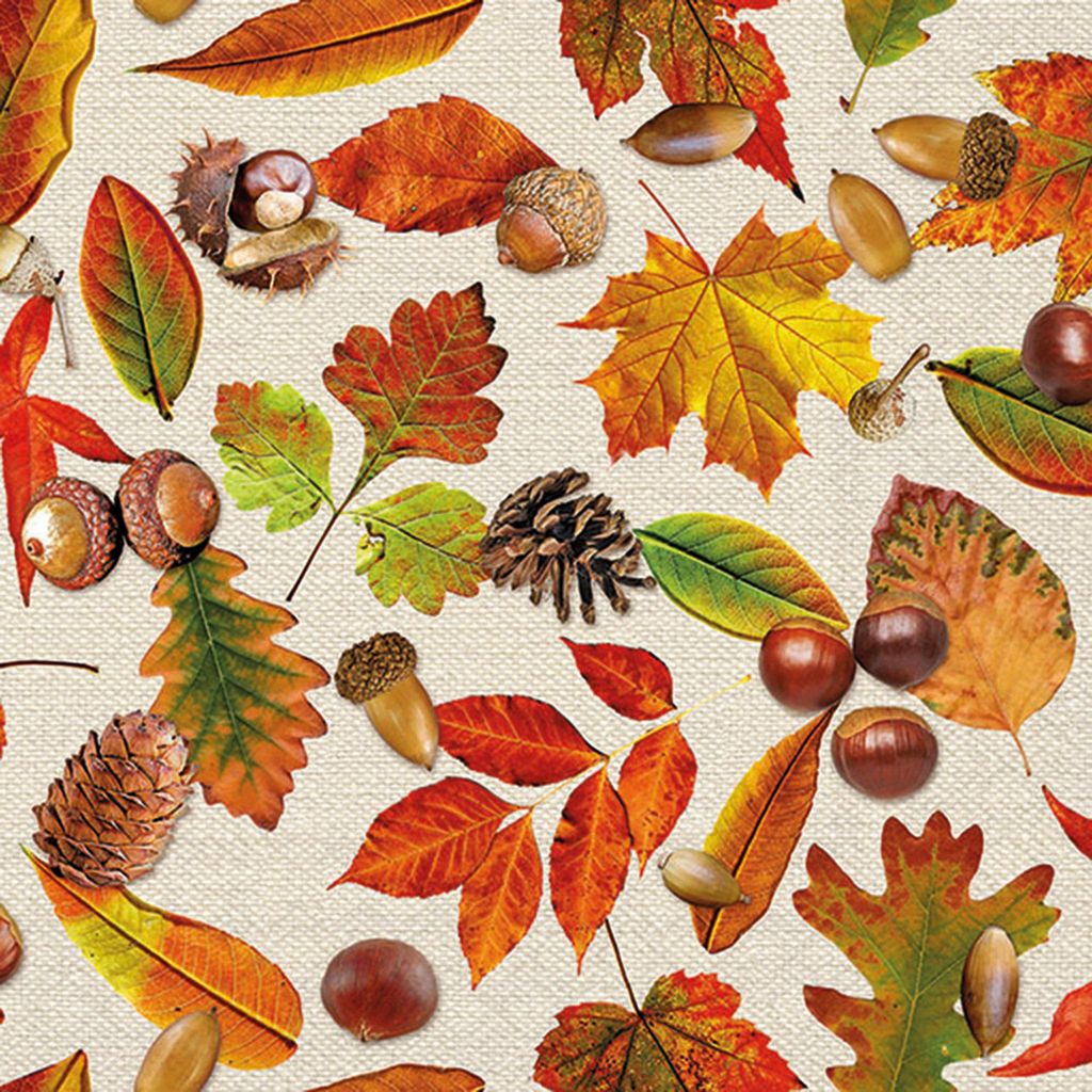 Servietten Papier 33x33cm 3-lagig mit Herbstzeit Motiv 20 Stück