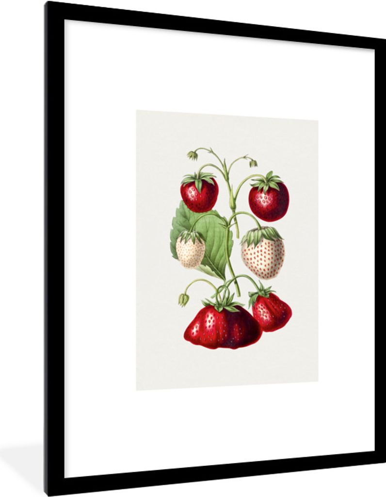 MuchoWow Gerahmtes Poster Erdbeere - Lebensmittel - Obst 60x80 cm - Poster mit Schwarzem Bilderrahmen Wandposter Rahmen Foto Bilder - Wohnzimmer ...
