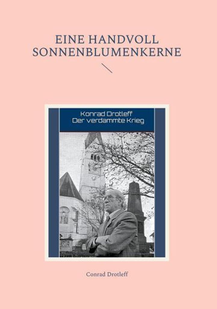 Eine Handvoll Sonnenblumenkerne