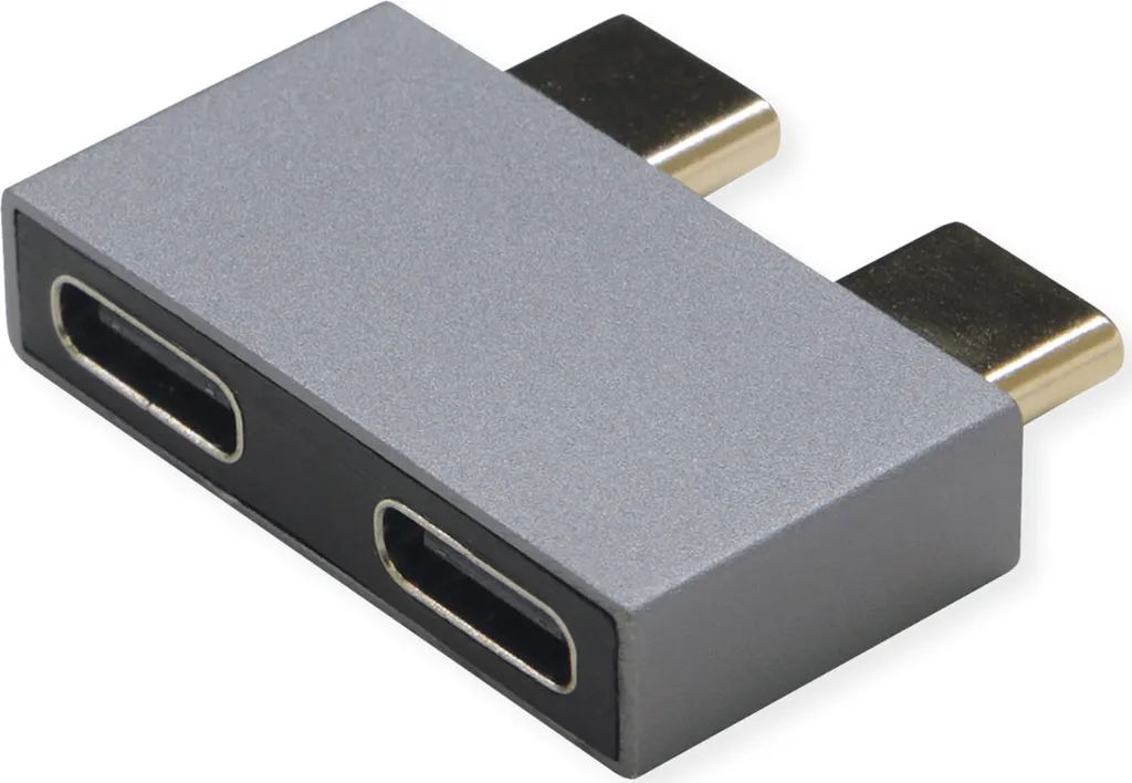 Adaptateur USB-C vers USB-C ROLINE 3.2 Gen 2, Connecteur Argenté en Métal