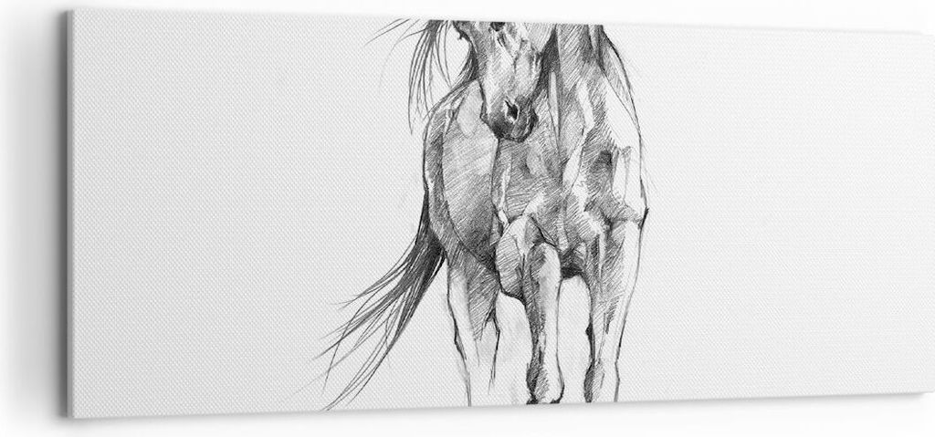 Bild auf Leinwand - Leinwandbild - Einteilig - Pferd Galopp Tier - 120x50cm - Wand Bild - Wanddeko - Wandbilder - Leinwanddruck - Bilder - Wanddeko...