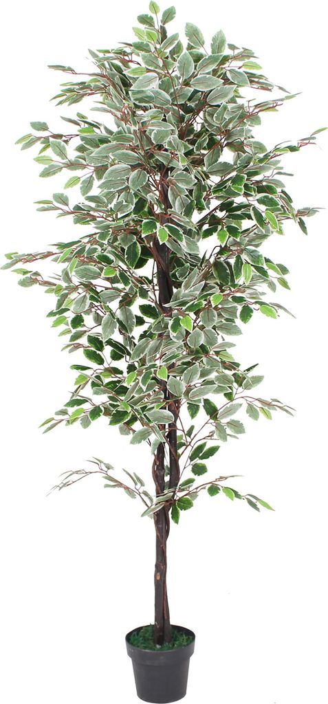 Blanc Ficus Benjamina Plante Arbre Artificielle Artificiel Image du produit 