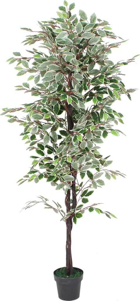 Plante Artificielle Ficus Benjamina 180cm - Grand Arbre Déco Blanc