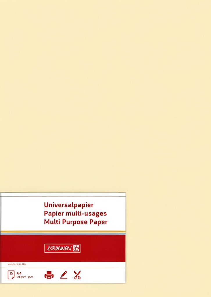 BRUNNEN 105123511 Carta multifunzionale Carta universale A4 Immagine del prodotto 