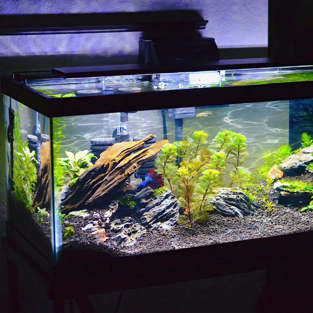 Éclairage Aquarium LED 45cm à 60cm Spectre Complet pour Eau Douce - 5