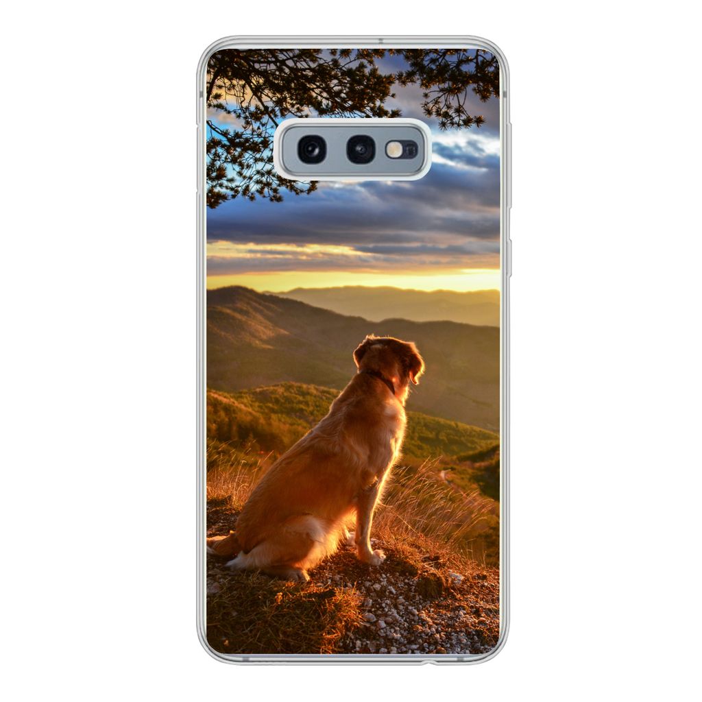 MuchoWow Handyhülle Schutzhülle Hülle für Samsung Galaxy S10e Ein Golden Retriever beobachtet den Sonnenuntergang Silikon Softcase Handy Hül...