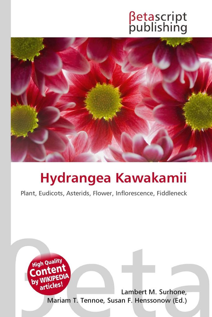 Hydrangea Kawakamii