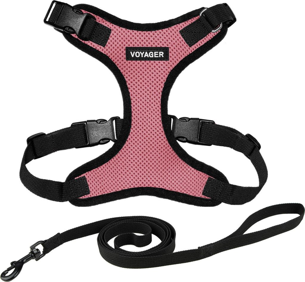 Voyager Step-in Lock Katzengeschirr und reflektierende Katzenleine mit Neoprengriff by Best Pet Supplies - Unterstützt kleine, mittelgroße und gr...