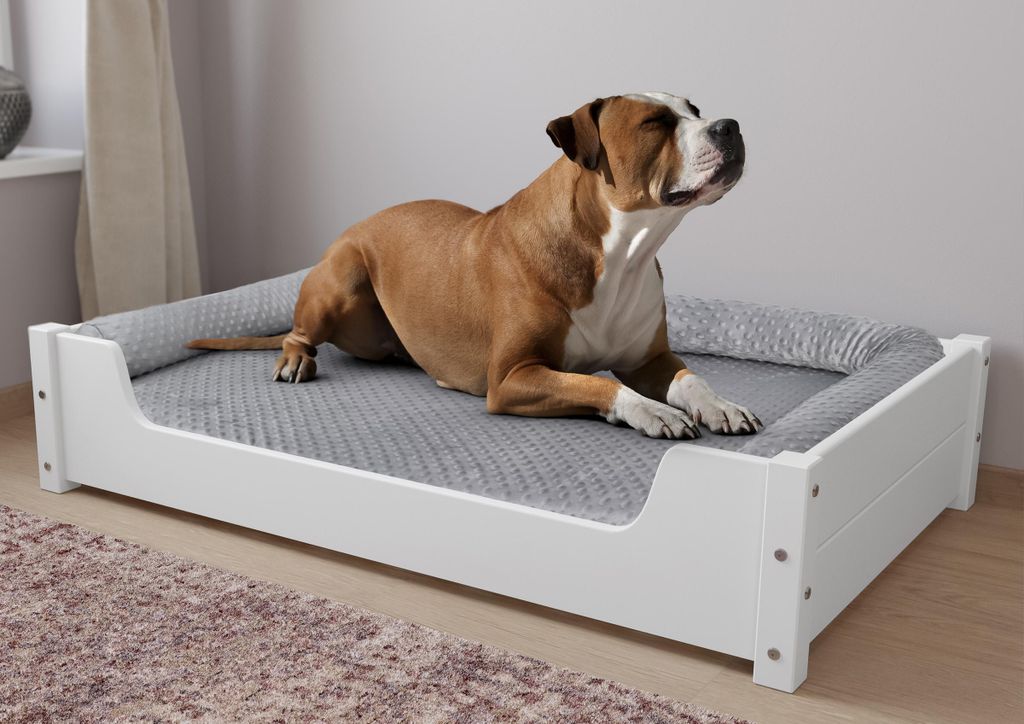 Hundebett für große Hunde 100x60 Kiefer weiß Tierbett Produktbild 