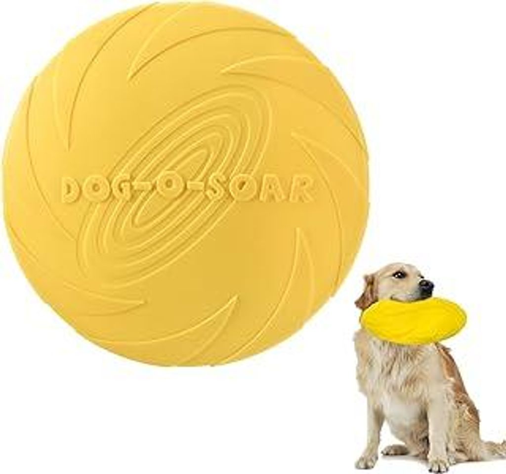 Frisbee Hund, Hundefrisbee, Hunde Frisbee, 22 cm Frisbee Scheibe, Bodentarget Hund, Hundespielzeug Frisbee Ring, Target Hundetraining, Dog Spiel Ba...