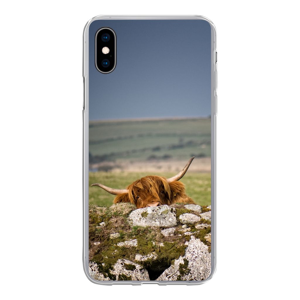 MuchoWow Handyhülle Schutzhülle Hülle für iPhone Xs Schottische Highlander - Steine - Gras Silikon Softcase Handy Hülle - Handytasche