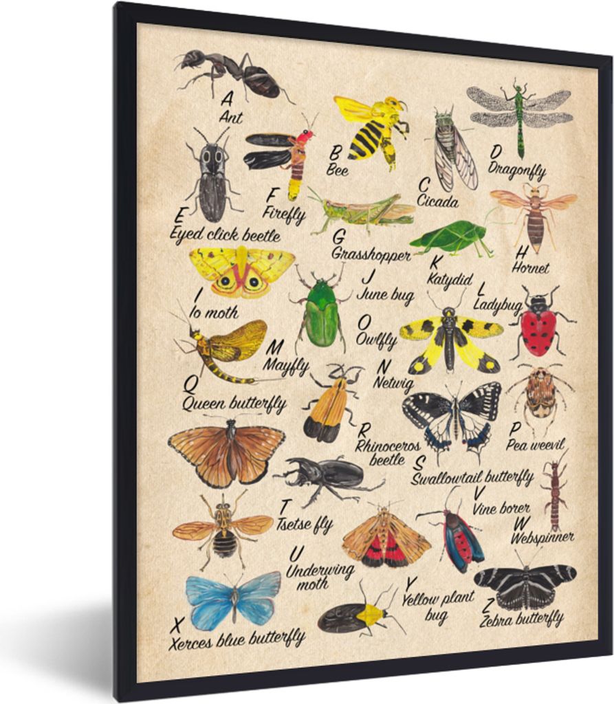 MuchoWow Gerahmtes Poster Alphabet - Insekten - Lehrreich - Retro - Braun - Jungen - Mädchen - Kinder 30x40 cm - Poster mit Schwarzem Bilderrahm...