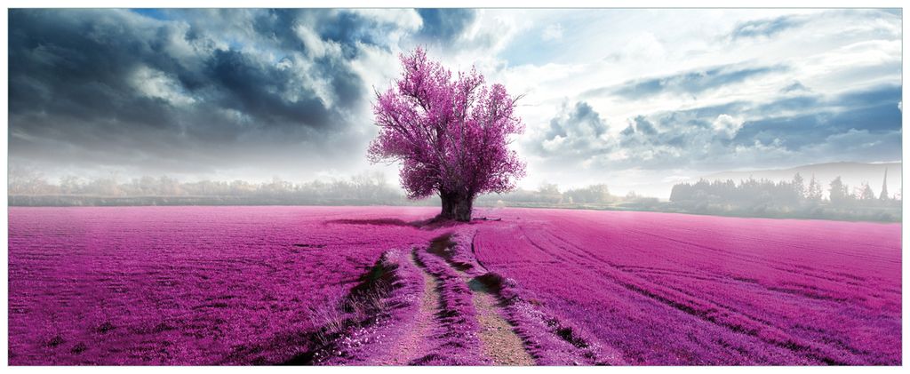 Wallario Wandbild aus Acryl, 125 x 50 cm, freischwebende Optik - Surreales Blumenfeld lila Blumen auf dem Feld