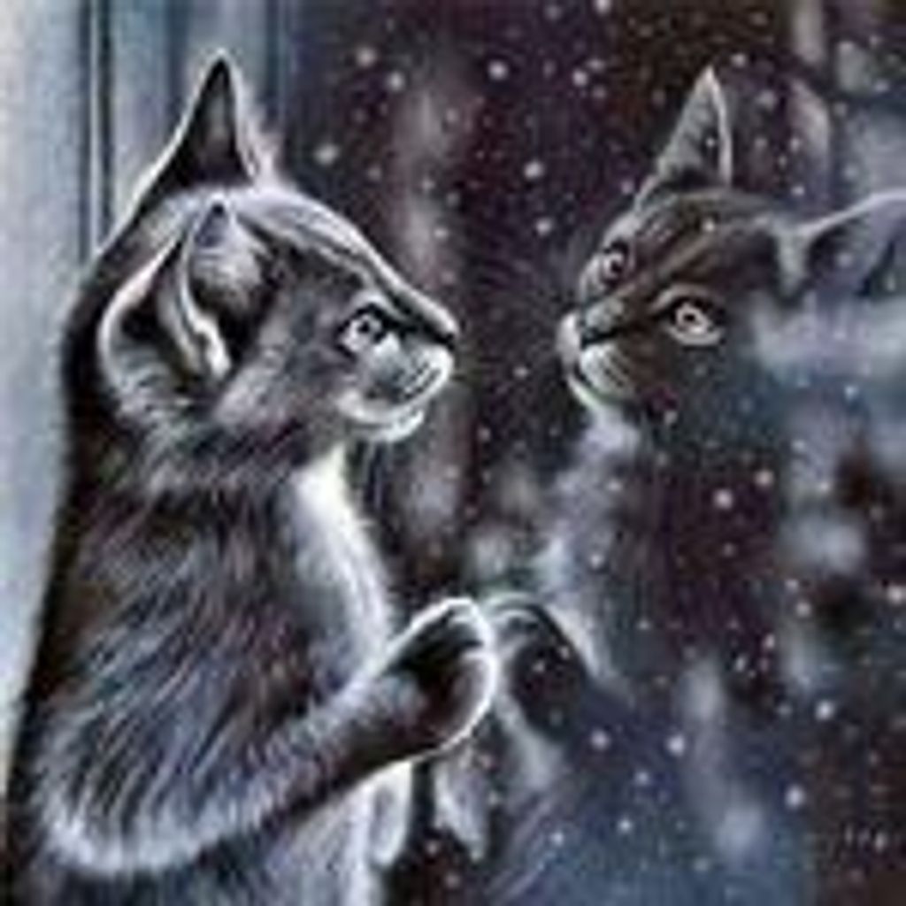 Diamond Painting Vollbild 50x70cm mit runden Steinen Produktbild 