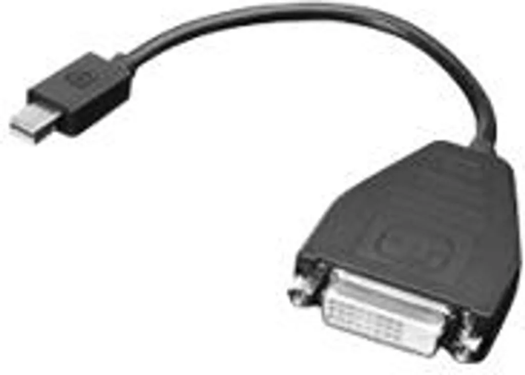 Lenovo Adaptateur DisplayPort Haute Vitesse avec Connecteur Verrouillable