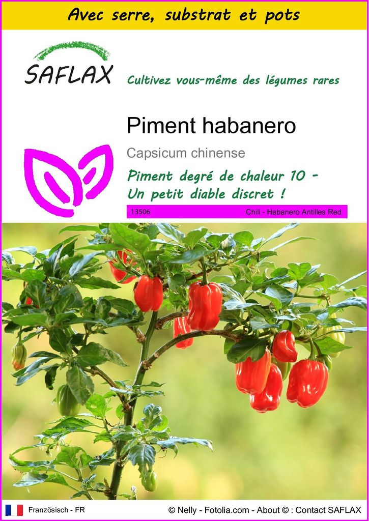 SAFLAX Ensemble de culture - Piment habanero - 10 graines - Image du produit 