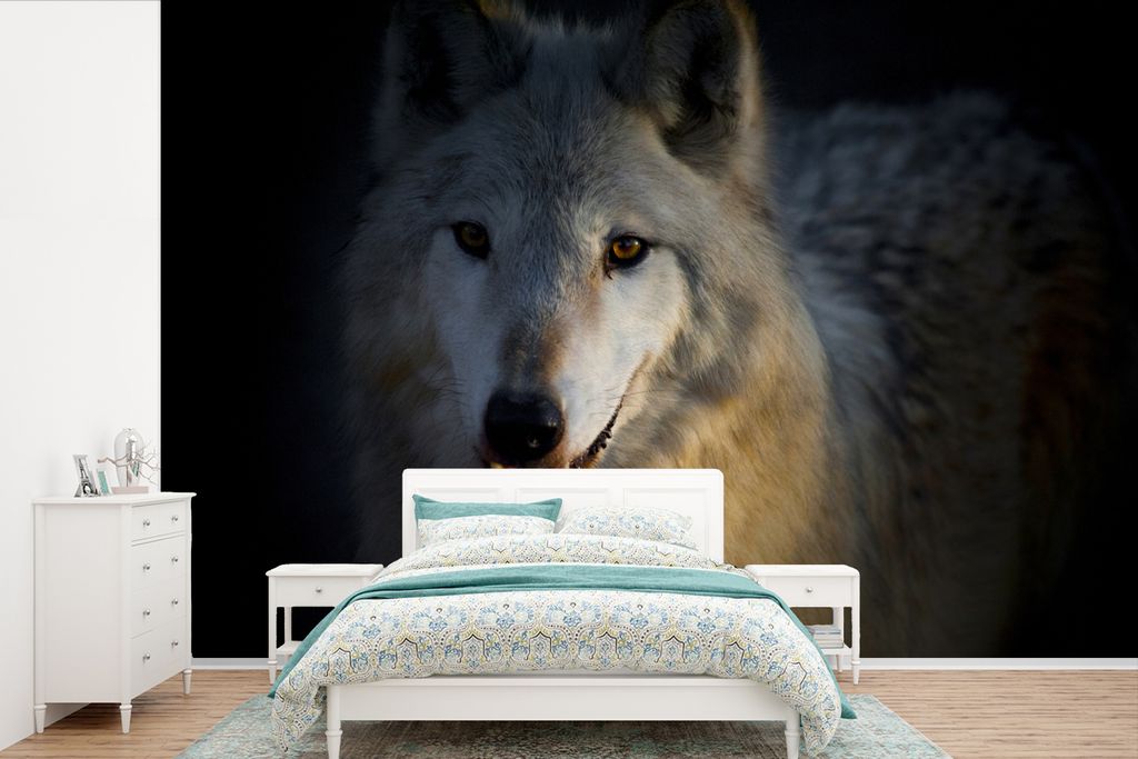 MuchoWow Fototapete für Wohnzimmer oder Schlafzimmer Wandtapete Vinyl Motivtapete Nahaufnahme eines arktischen Wolfs - 390x260 cm - Papiertapete