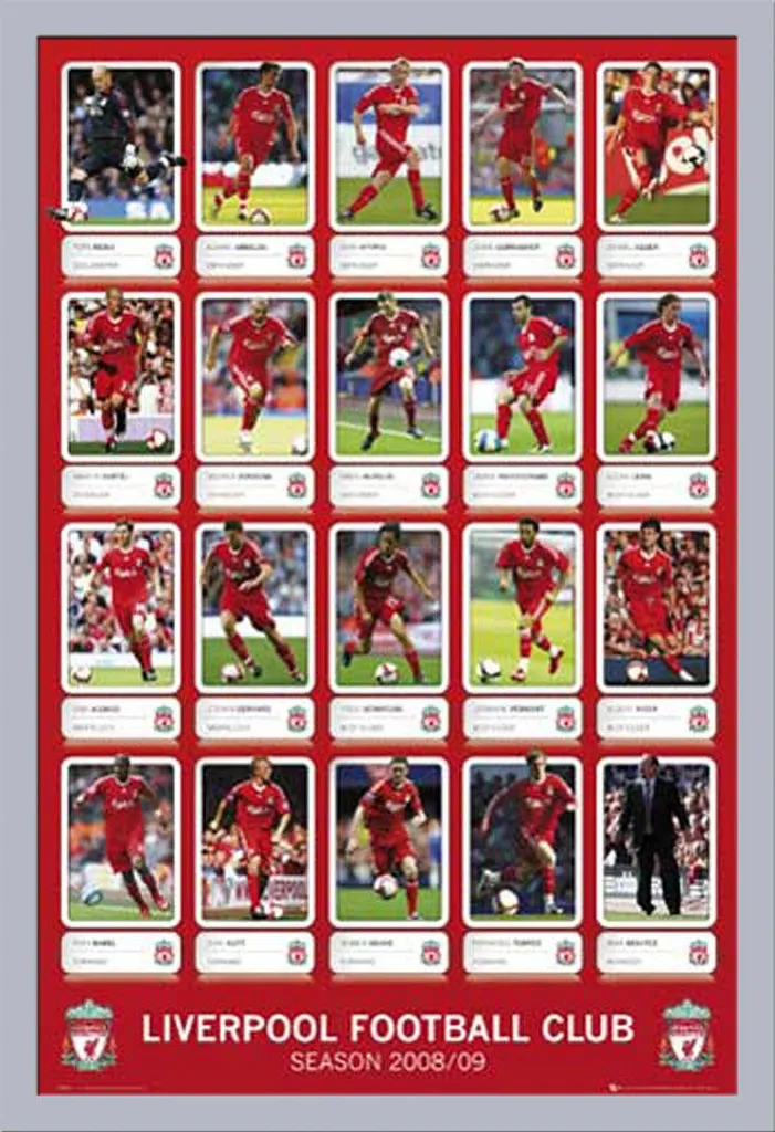 Poster Liverpool FC Profili Squadra V2 con Cornice Shinsuke Argento 61x91,5