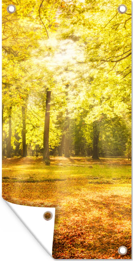 MuchoWow 40x80 cm Outdoor-Poster Gartendeko Sichtschutz Garten Poster für den Garten Baum - Natur - Sonne - Landschaft - Wald