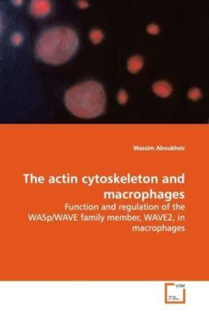 Aboukheir, W: The actin cytoskeleton and macrophages
