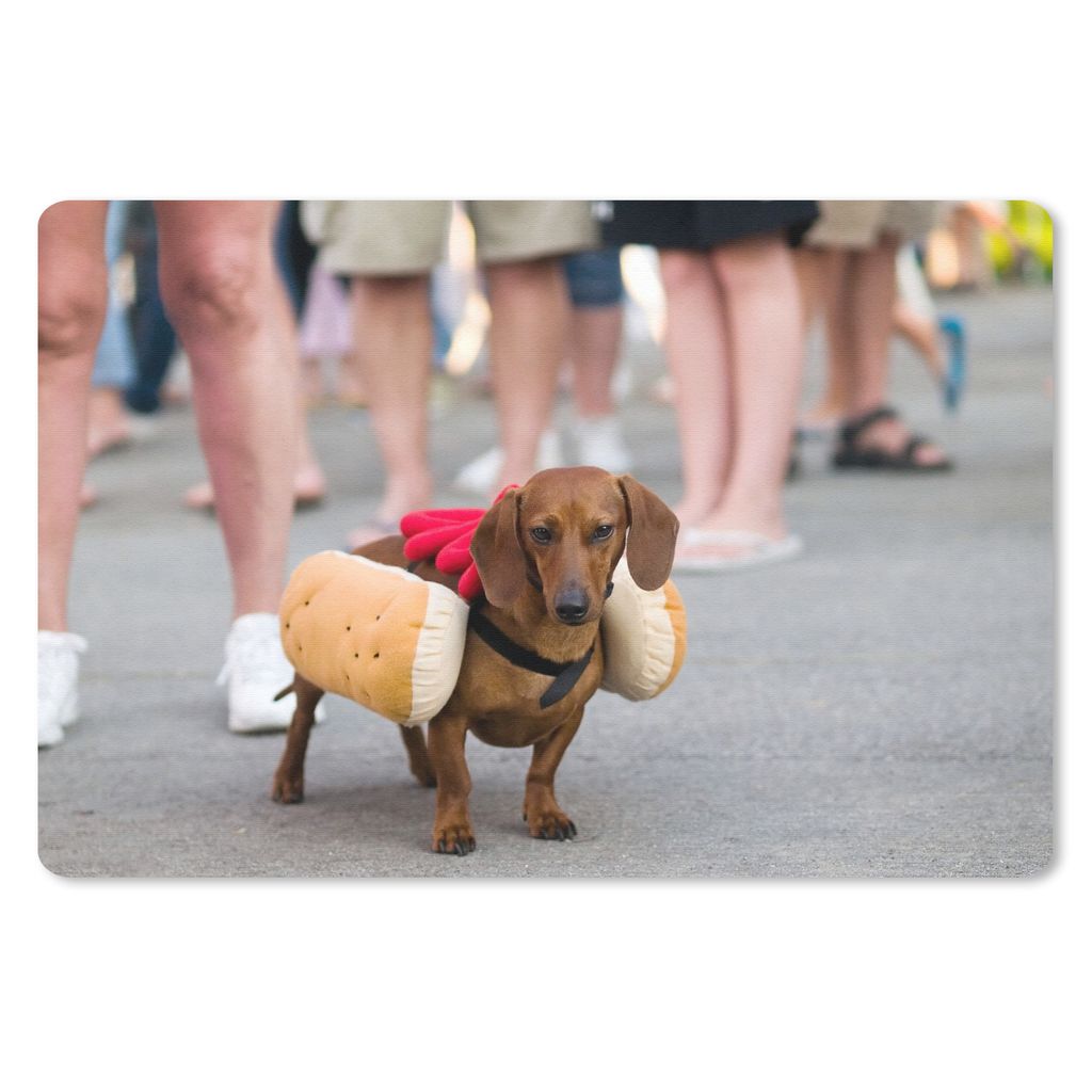 MuchoWow Mauspad Mousepad Dackel als Hotdog verkleidet 27x18 cm - Mousepads - Maus Mat - Pad - Mausunterlage - Büroartikel - Desk Matten