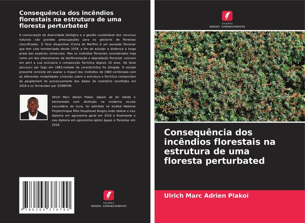 Consequência dos incêndios florestais na estrutura de uma floresta ¿¿rturbated