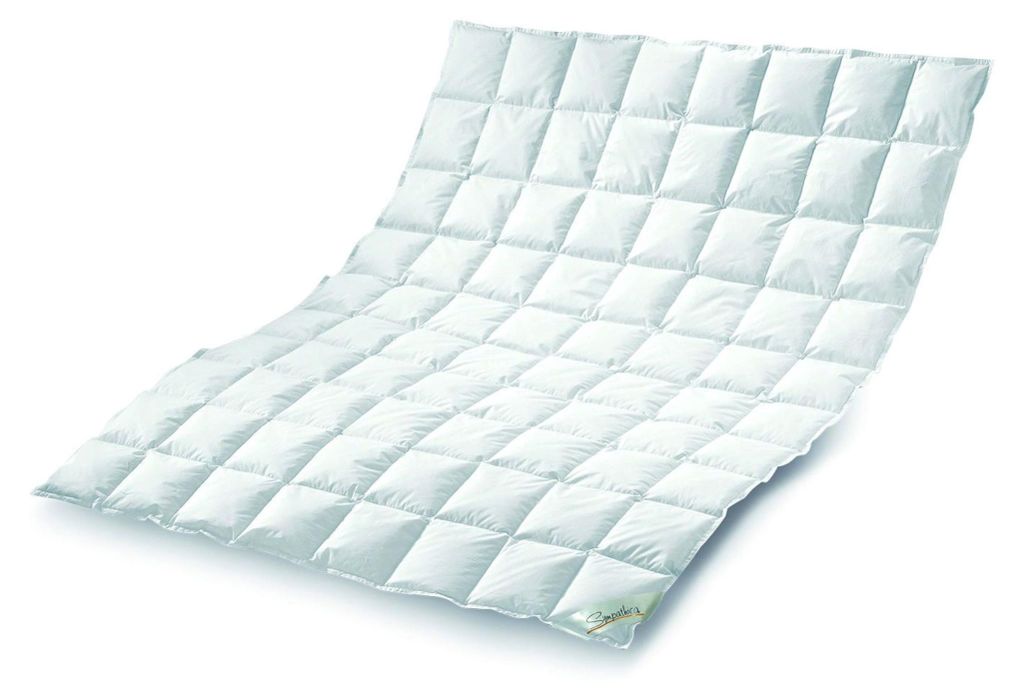 Hofmann ́s Traumhaftes Sommer Daunenbett Daunendecke Sommerdecke 8x10 135x200 cm