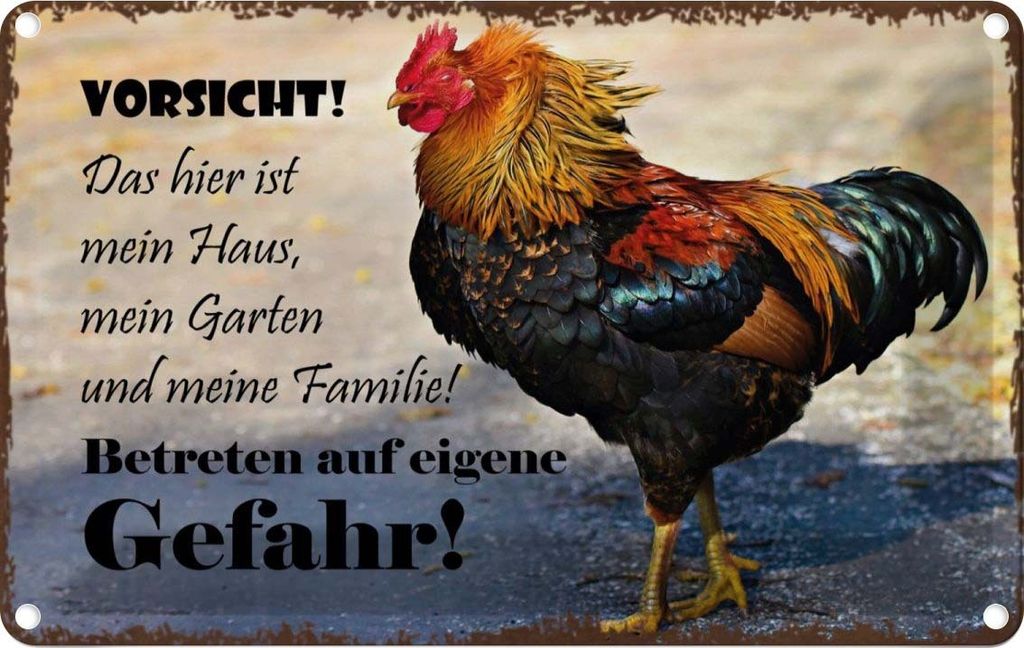 vianmo Blechschild 20x30 cm Huhn Vorsicht das mein Haus Tier Haustier Spruch Zitat