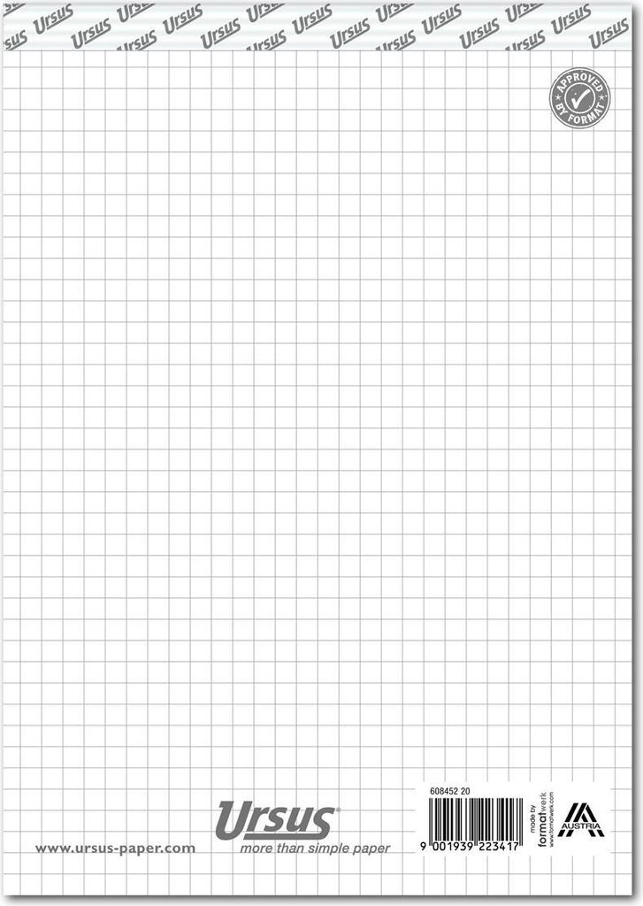 Staufen Notizblock ohne Deckblatt, DIN A5, 50 Blatt, 60g/qm, kariert