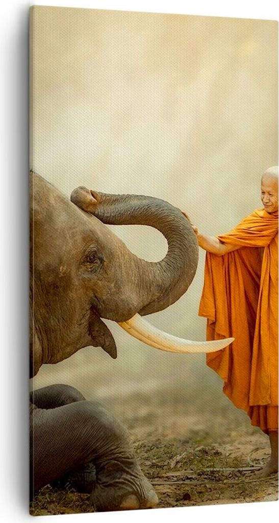 Bild auf Leinwand - Leinwandbild - Elefant Mönch Stoßzahn - 55x100cm - Wand Bild - Wanddeko - Leinwanddruck - Bilder - Kunstdruck - Wanddekoratio...