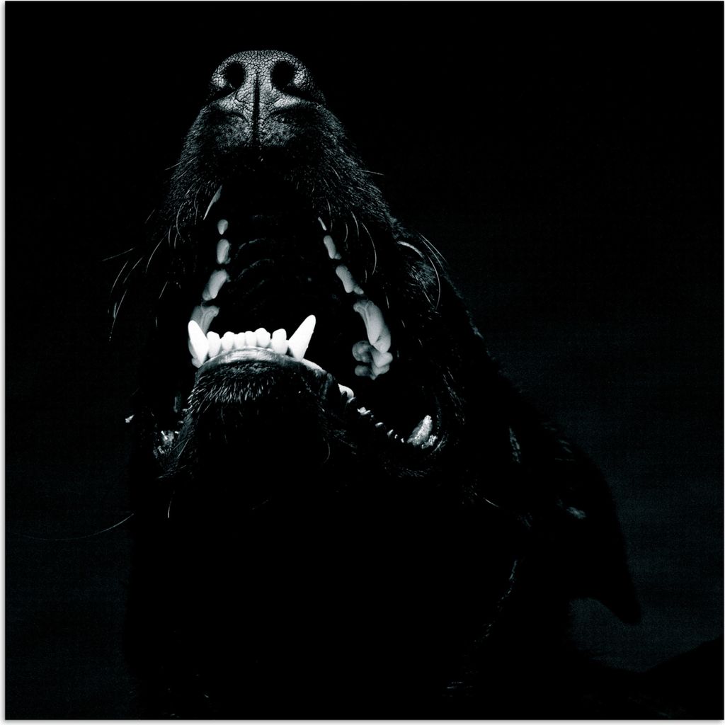 MuchoWow Poster Tierprofil Hund mit offenem Maul in schwarz und weiß 30x30 cm - Wandposter - Printing