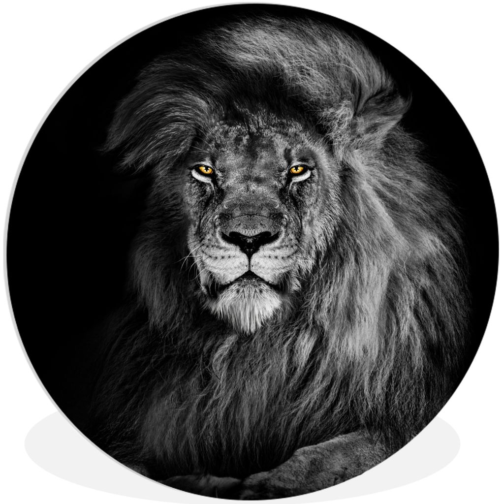 MuchoWow Rundes Wandbild - Runde Bilder Löwe - Augen - Orange - Schwarz und weiß - Tiere - Porträt Ø 90 cm Kreis Wanddekoration Kunststoff - ...
