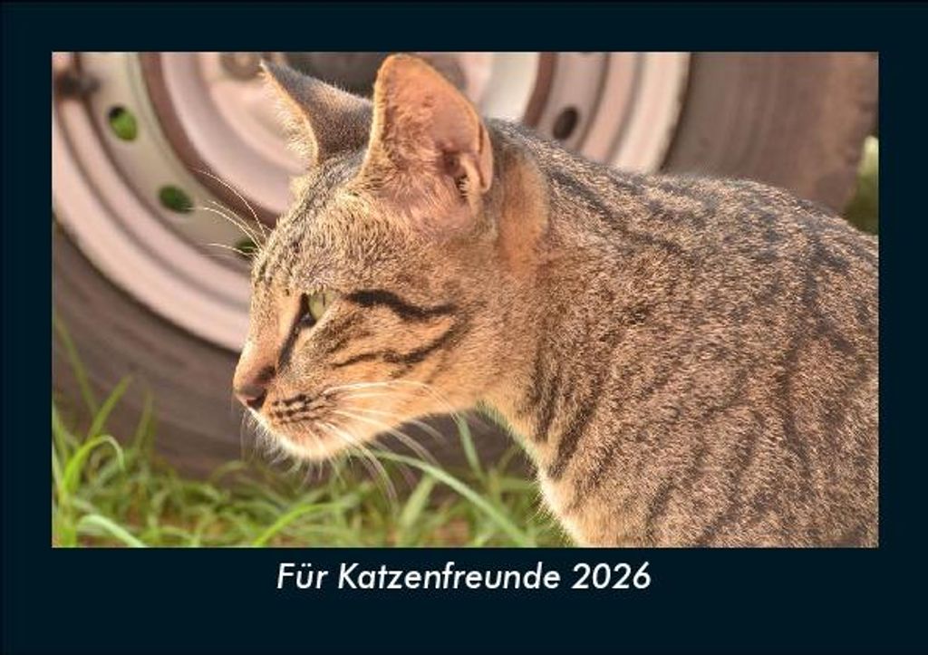 Für Katzenfreunde 2026 Fotokalender - Querformat DIN A5, Monatskalender mit Bild-Motiven von Haustieren, Bauernhof, wilden Tieren und Raubtieren