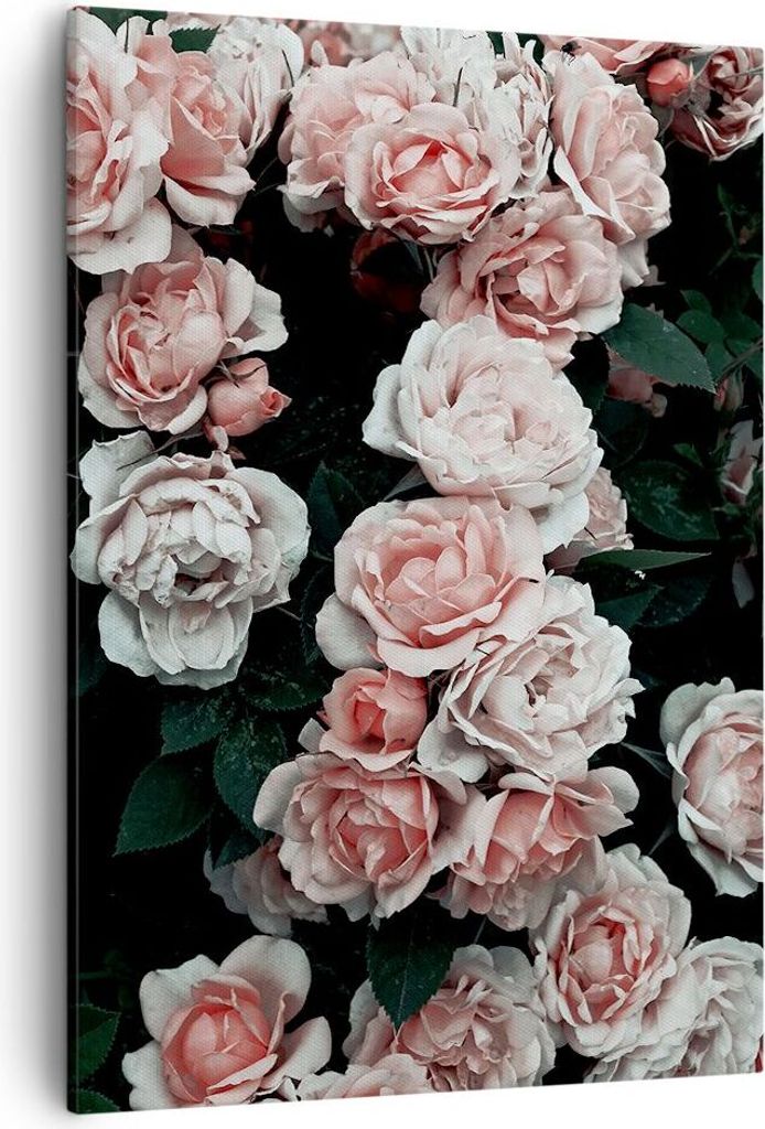 Bild auf Leinwand - Leinwandbild - Einteilig - Rosen Blumen Blätter - 50x70cm - Wand Bild - Wanddeko - Wandbilder - Leinwanddruck - Wanddekoration...