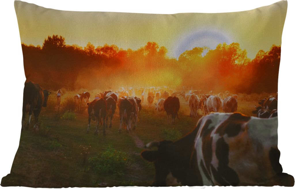 MuchoWow Outdoor Kissen - Kühe - Sonnenuntergang - Wiese - Tiere - 60x40 cm - Wetterfest - Lounge Kissen - Zierkissen - Kissen für Innenräume