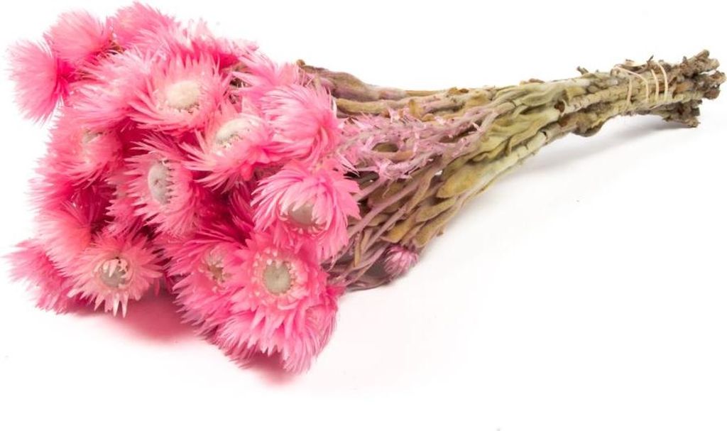 INNA-Glas Sonnenblumen Trockenstrauß Bibiana, Hellrosa, 35-45cm, Ø15cm - Getrockneter Strauß