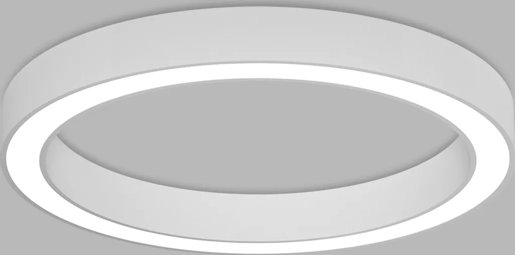 Éclairage de salon LED puissant 60cm plafonnier blanc 2CCT réglable