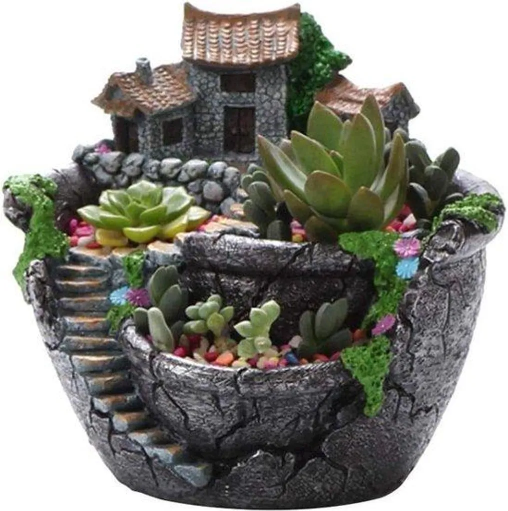 Kit Miniature Succulentes et Maisonnette en Bois pour Jardin de Fée DIY