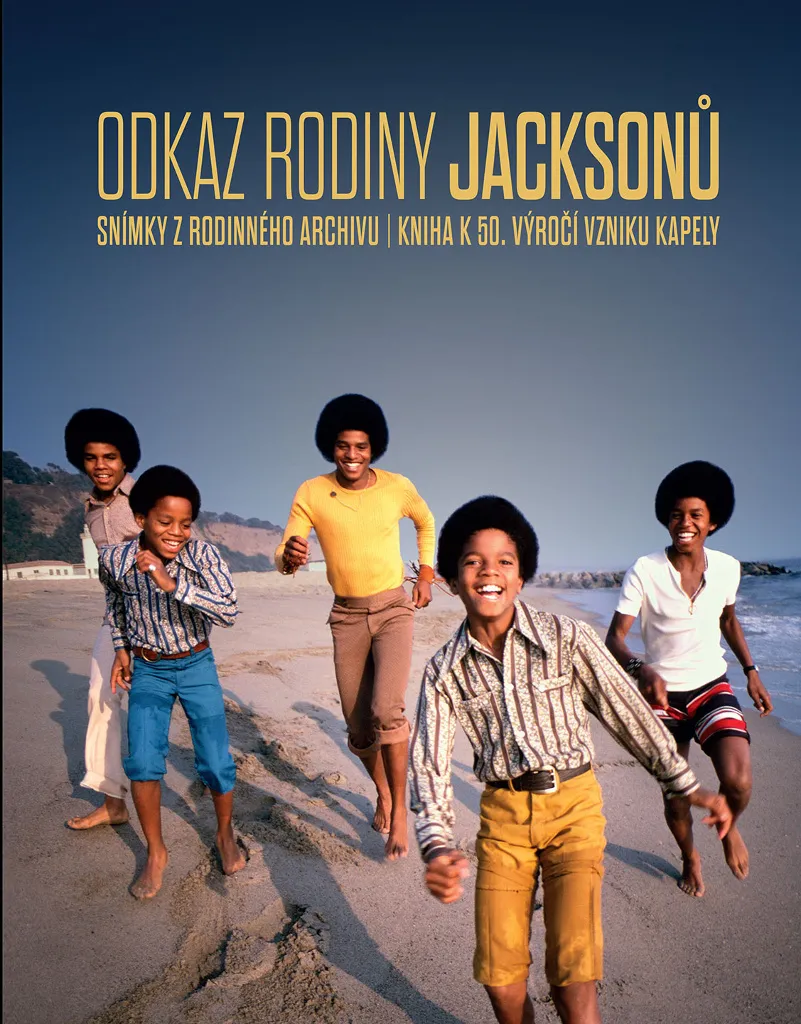 Idée cadeau fan de Michael Jackson - Livre d'histoire de la musique