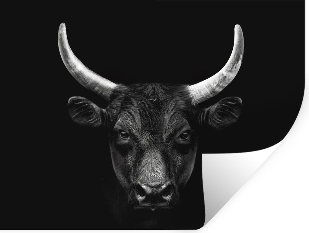 MuchoWow Wandtattoo Wandsticker Wandaufkleber Tiere - Stier - Schwarz - Weiß - Porträt 120x90 cm Selbstklebend und Repositionierbar - Aufkleber