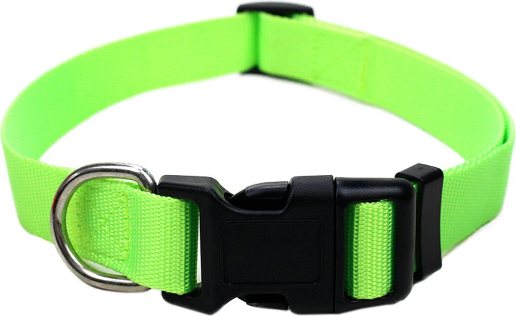 Robustes Hundehalsband aus Nylon – stufenlos verstellbar, leicht & bequem – für Welpen, kleine & große Hunde – S, M & L Größe S neongrün