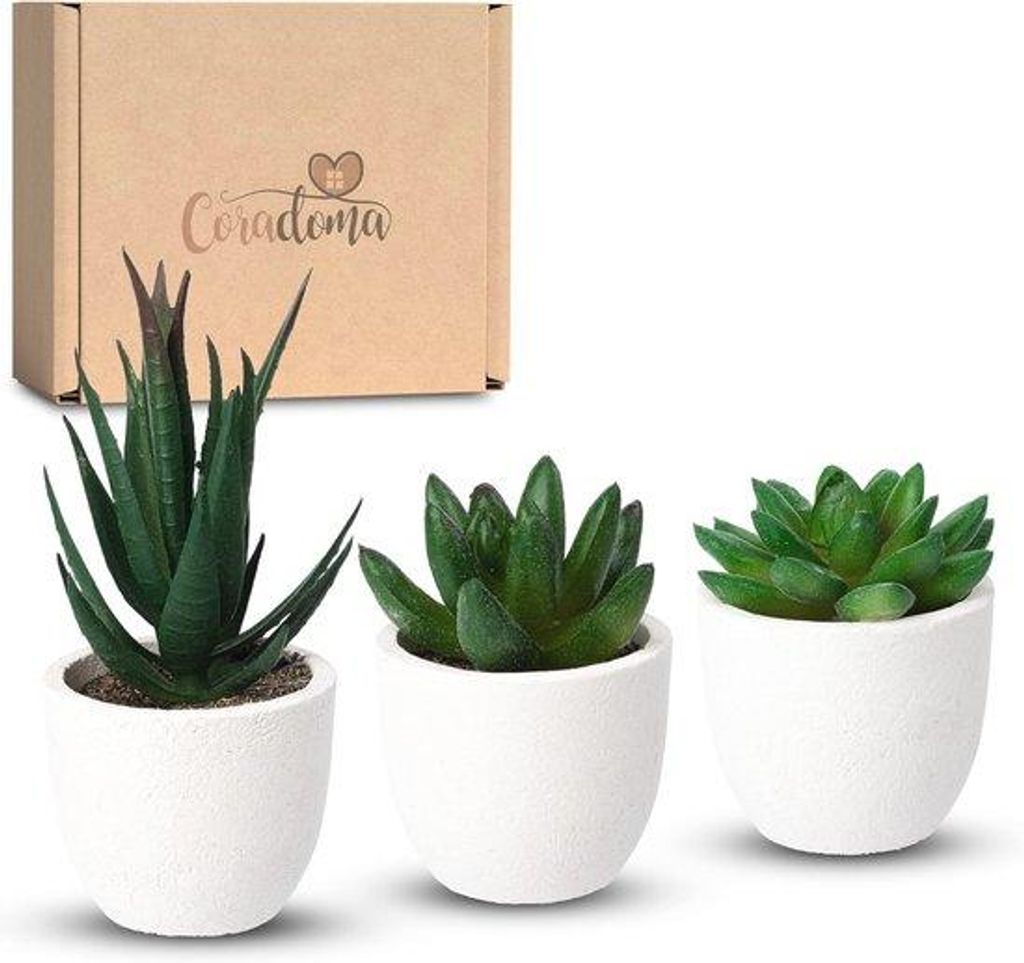 Künstliche Pflanzen Mini 3er Set Dekoration Kunstpflanzen Produktbild 