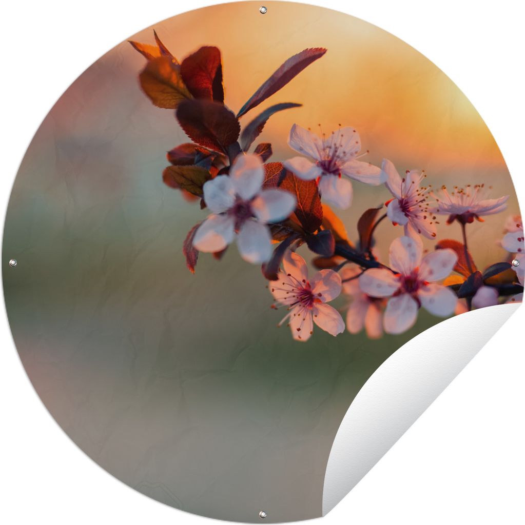 MuchoWow Gartenposter Outdoor-Poster Rund Blossom aus der Nähe Ø 150 cm Gartendeko Rundes Poster draußen