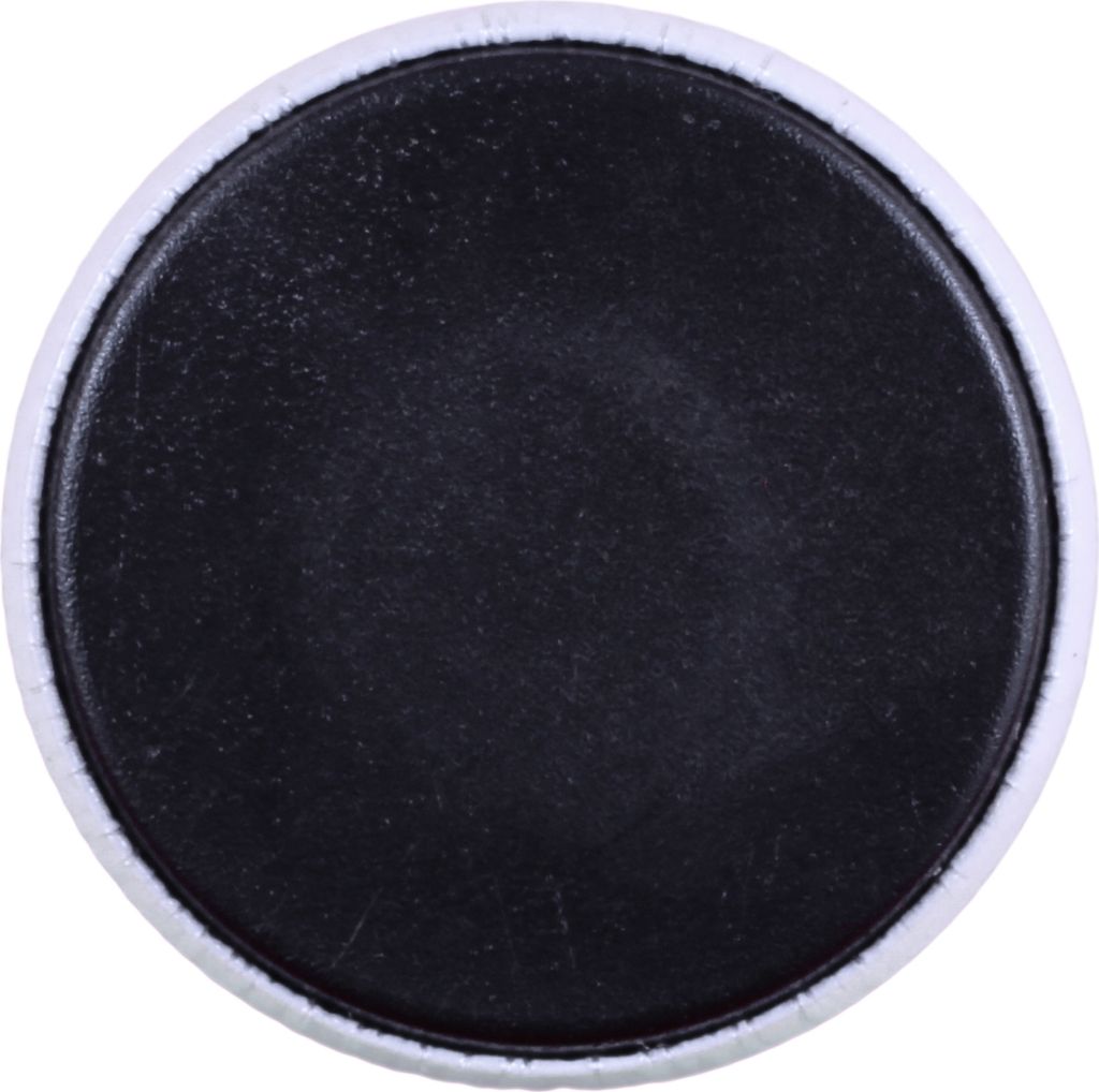 Deutsche Dogge, Ulmer Dogge, Große Dogge I Magnet mit einem Hundepfotenabdruck, außergewöhnlich leicht, starker Magnet, handgefertigtes Produkt ...