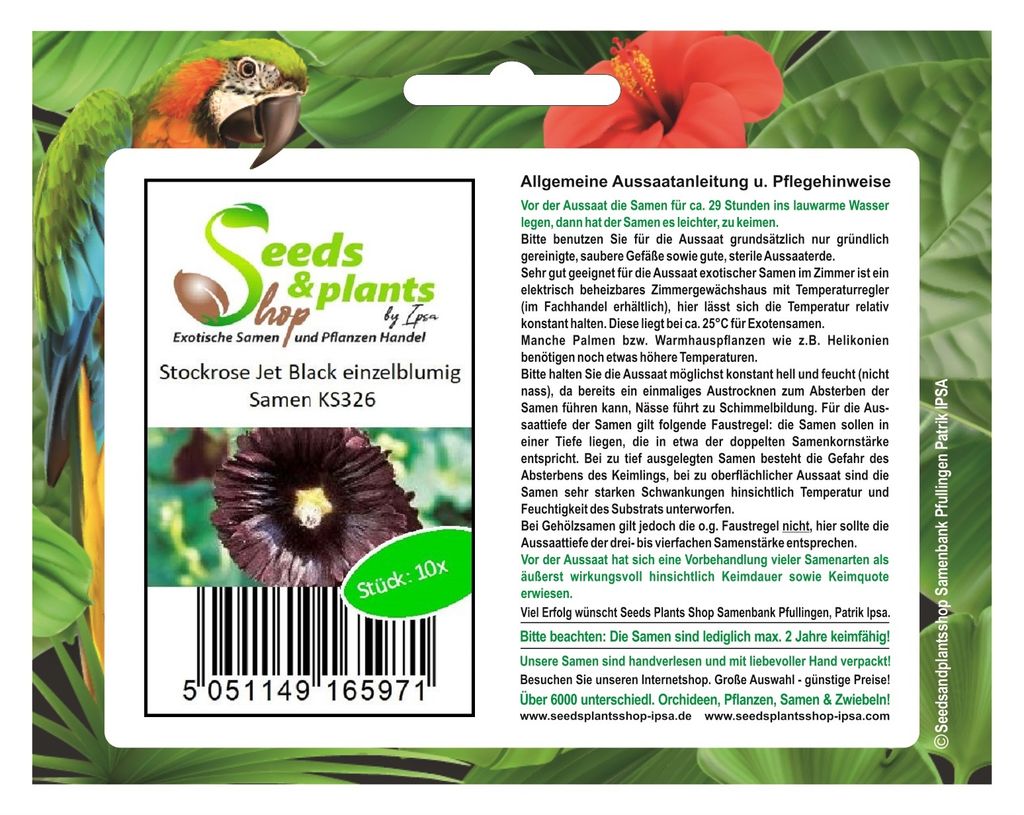 10x Stockrose Jet Black, einzelblumig-Stockrosen Samen Blume Pflanze KS326