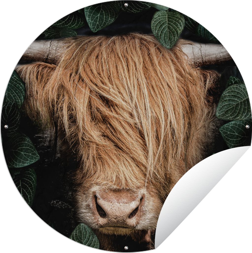 MuchoWow Gartenposter Outdoor-Poster Rund Schottischer Hochländer - Blättrig - Kuh Ø 60 cm Gartendeko Rundes Poster draußen