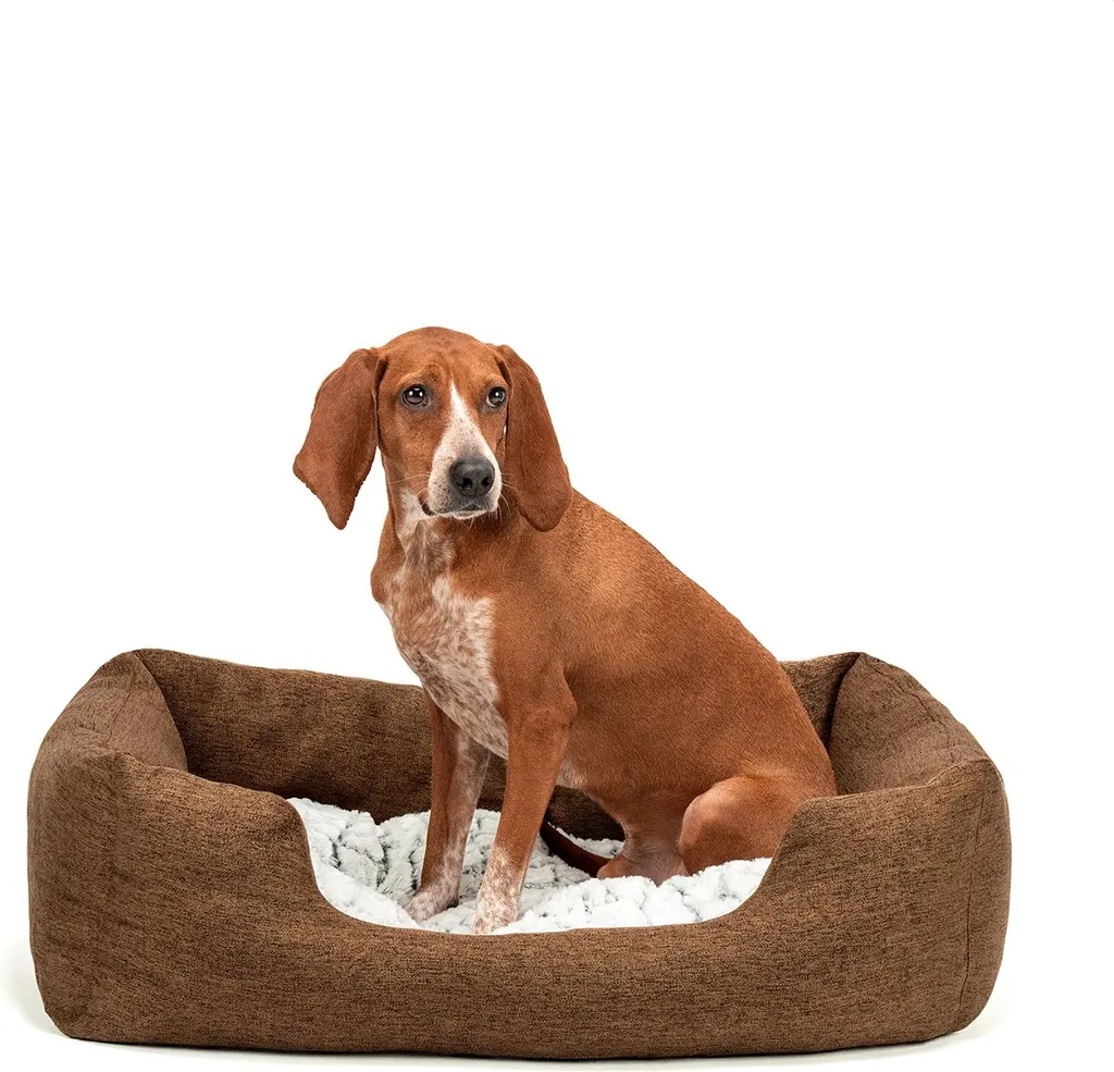 Accogliente Cuccia lionto 80x60 cm Marrone | Letto Morbido per Cani Medi