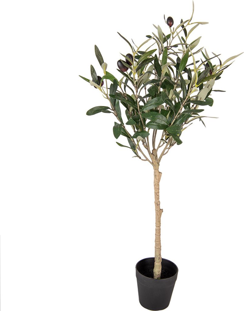 Clayre & Eef Künstlicher Olivenbaum 70 cm Grün Kunststoff Produktbild 